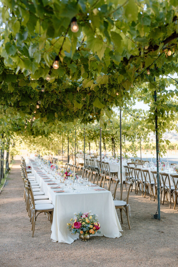 Gorgeous wedding under the grape arbor at Trentadue Winery in Napa, CA