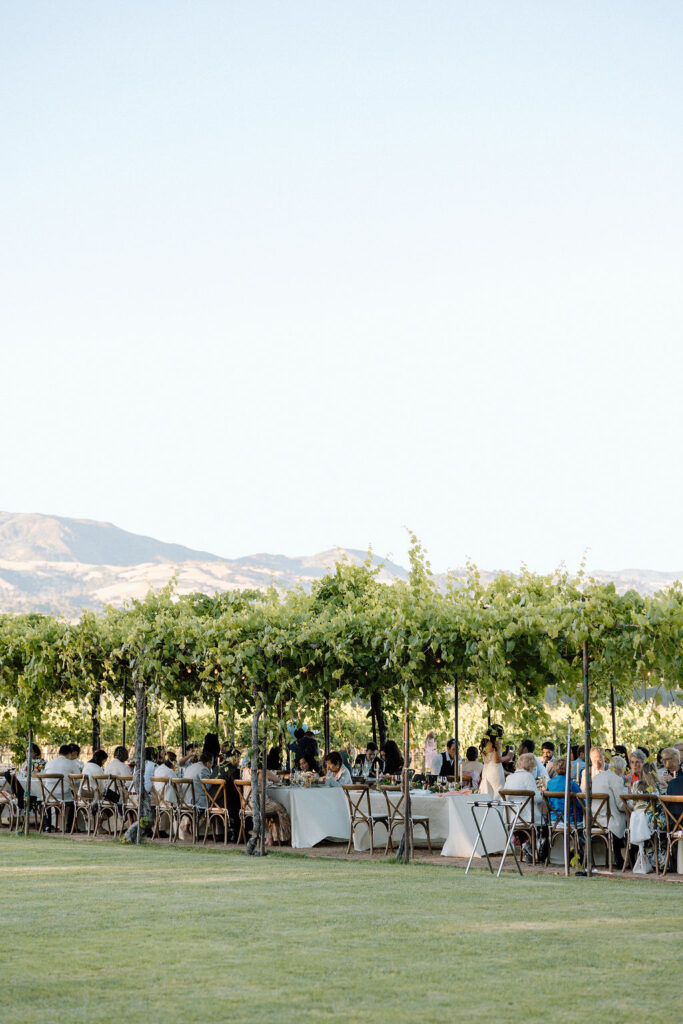 Gorgeous wedding under the grape arbor at Trentadue Winery in Napa, CA