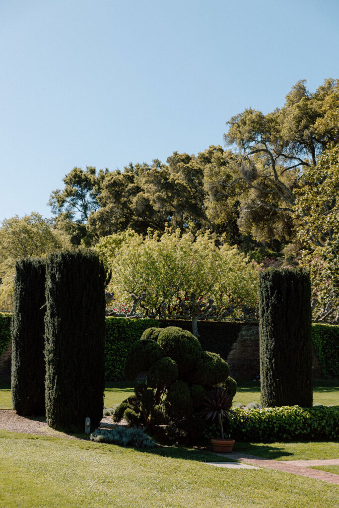 Engagement Session at Filoli Gardens in California | California wedding photographer Katelyn Bradley Photography