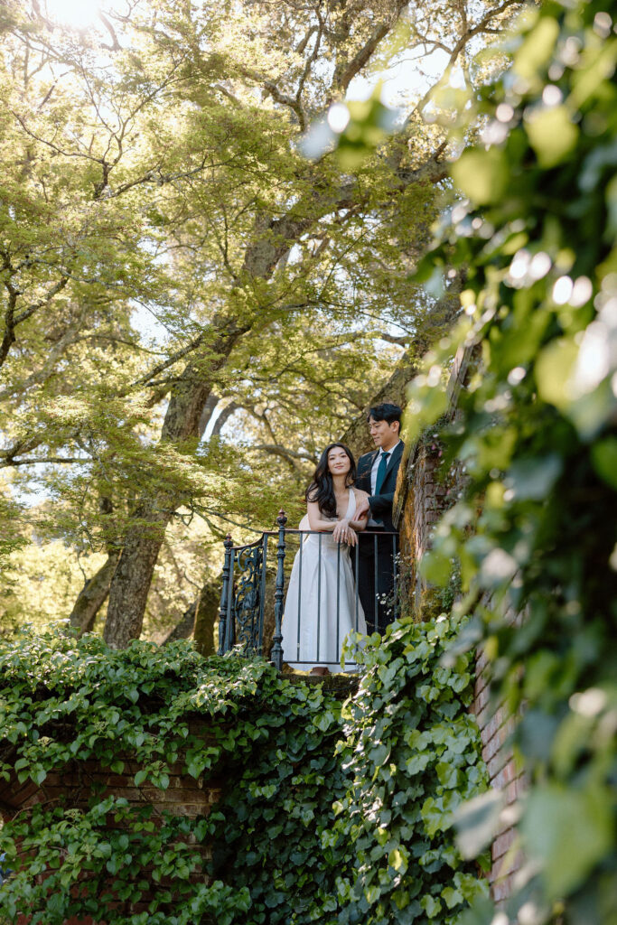 Engagement Session at Filoli Gardens in California | California wedding photographer Katelyn Bradley Photography