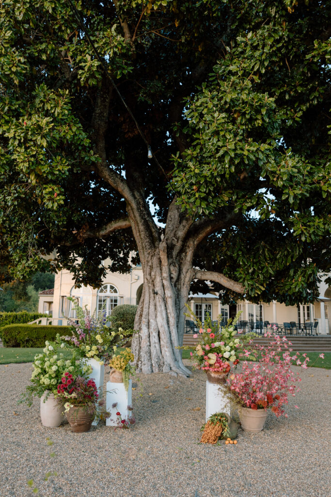 Romantic outdoor wedding ceremony at Château St. Jean with flowing florals, arched architecture, and vineyard backdrops inspired by European destination weddings.