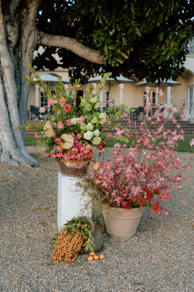 Romantic outdoor wedding ceremony at Château St. Jean with flowing florals, arched architecture, and vineyard backdrops inspired by European destination weddings.