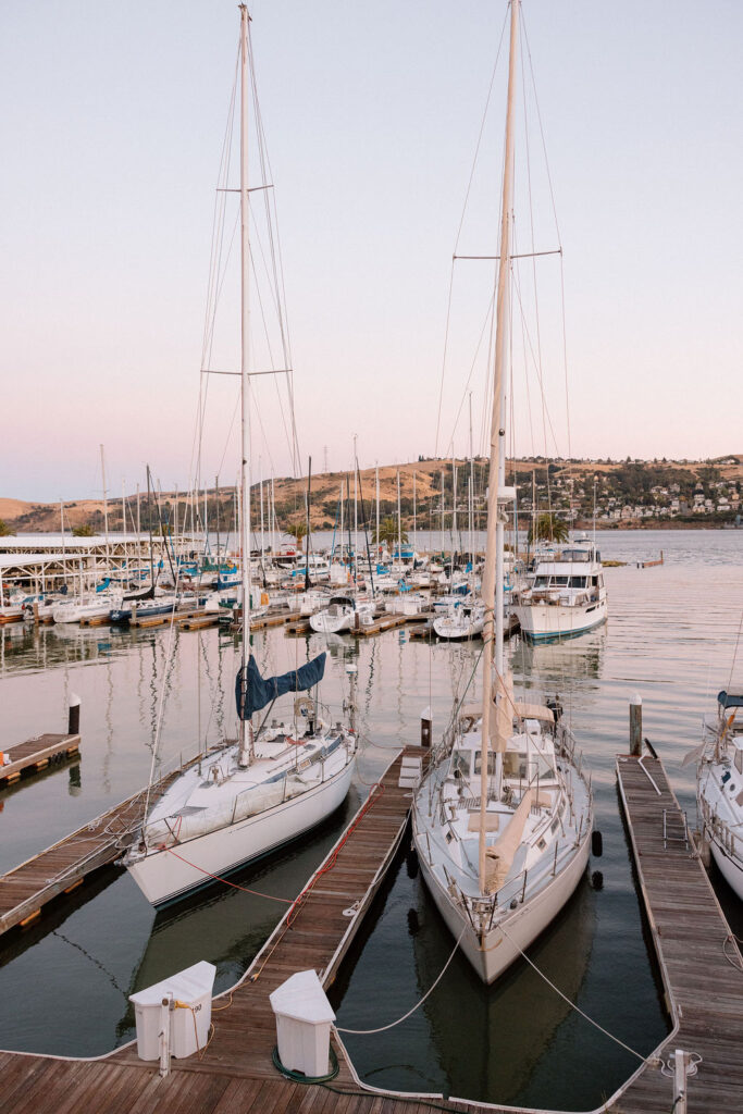 Golden hour reception beneath palm trees at a Northern California waterfront wedding