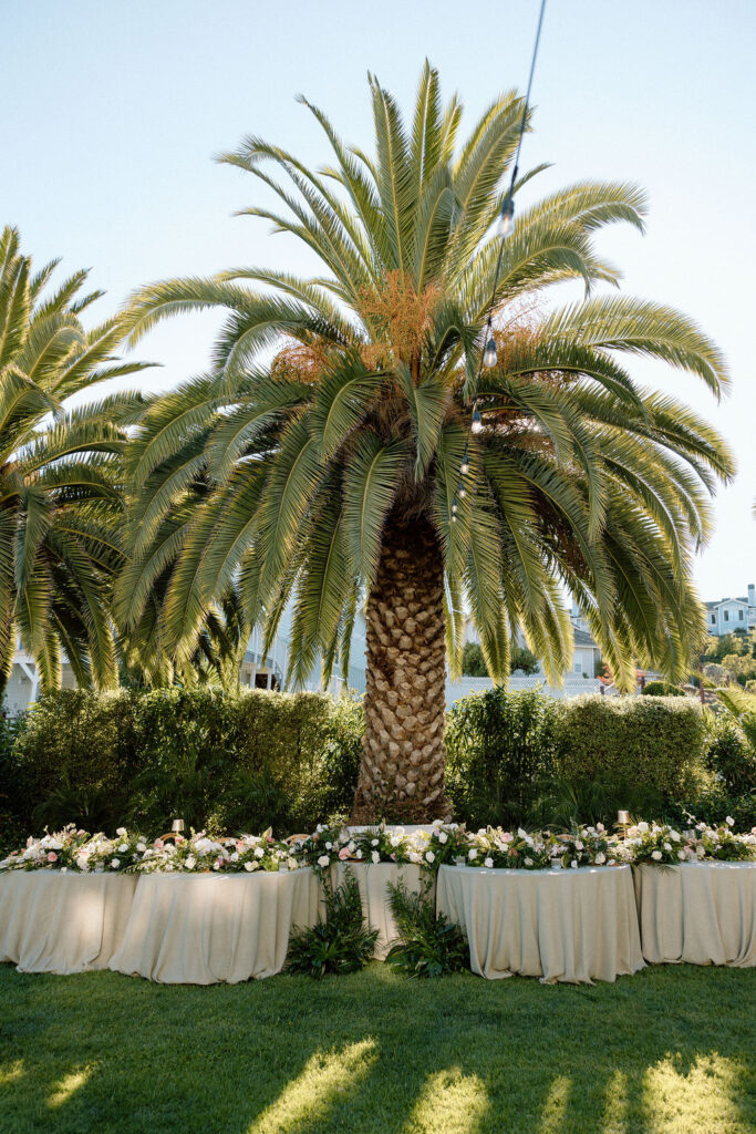 Golden hour dinner reception beneath palm trees and string lights at a Glen Cove Marina wedding