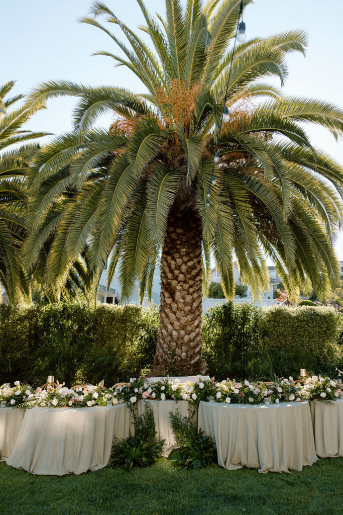 Golden hour dinner reception beneath palm trees and string lights at a Glen Cove Marina wedding